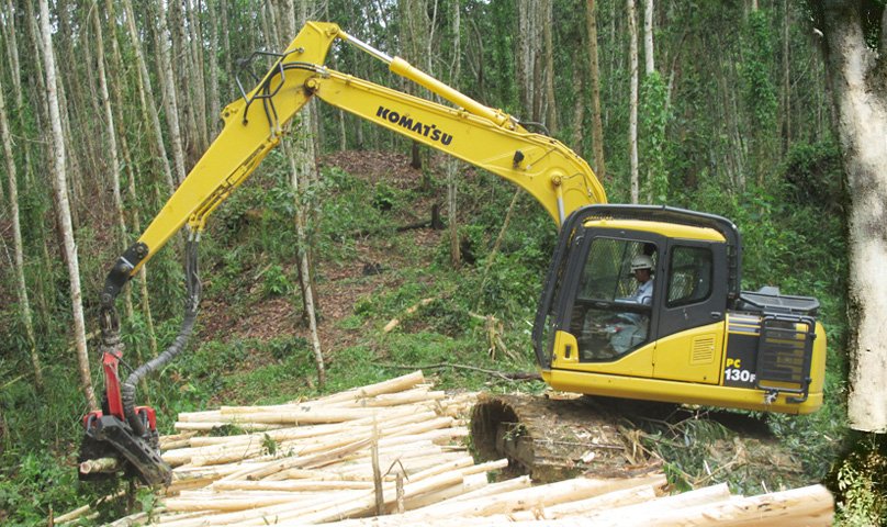With Special Attachment, Komatsu PC130F-7: A Reliable Choce For Industrial Forest Harvesting