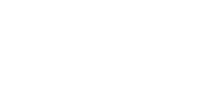 Logo Bomag In