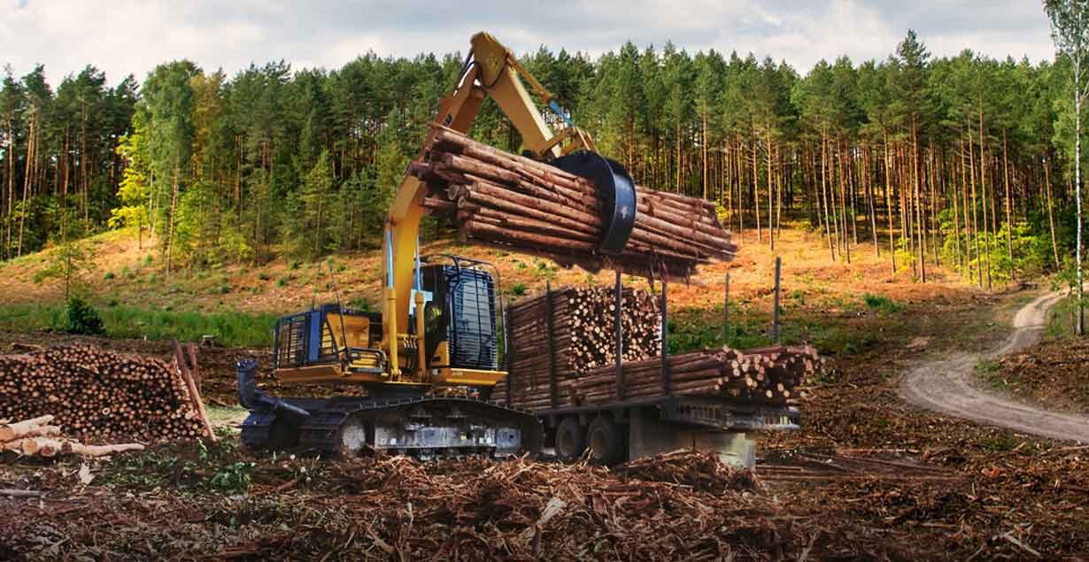 Perawatan Mudah, Diskon Melimpah! Harga Spesial Awal Tahun Komatsu PC135F-10M0